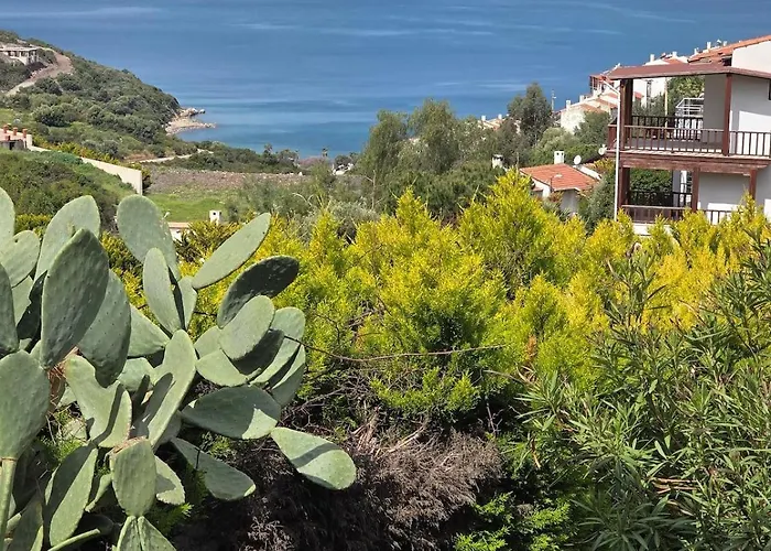 Sevinc Akasya Luxury Milas