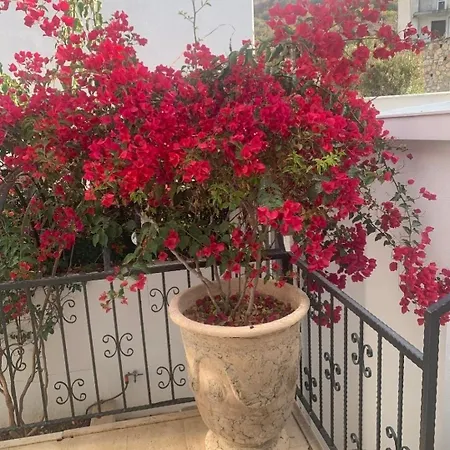 Sevinc Akasya Luxury Villa Milas