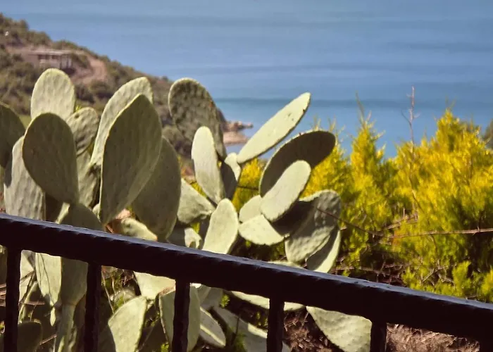 Sevinc Akasya Luxury Vila Milas